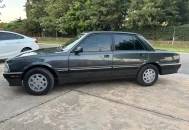 Peugeot 505