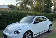 Volkswagen The Beetle