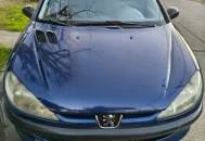 Peugeot 206 - 1.9 X - Line