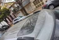 Kia 2010